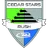 Cedar star