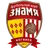 Logo of FK Znamya Noginsk