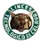 Logo of Celaya Linces