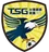 Logo of Taipei Steel