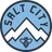 Logo of Salt City