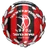 Logo of MS Tirat HaCarmel