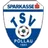 Logo of TSV Sparkasse Pollau