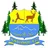 Logo of Lonestar Kashmir
