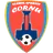 Logo of ACS DP Cornu