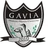 Gavia Choszczno