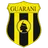 Logo of Guarani B