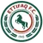 Logo of Al-Ettifaq FC