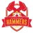 Logo of Birmingham Hammers