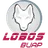 Logo of Lobos Puebla