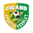 Logo of Cigand SE