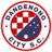 Dandenong City SC