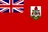 Logo of Bermuda U20