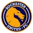 Logo of Rochester Lancers (w)
