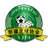 Logo of Xinjiang U20