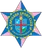 Logo of Desportiva Capixaba (ES)