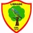 Librade U20