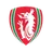 Logo of Clwb Cymric