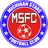Logo of Michigan Stars