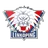 Logo of Linkopings (w)
