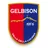 Logo of Gelbison