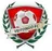 Logo of Veitongo FC