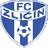 Logo of Zlicin