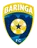 Baringa FC