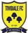 Logo of Tividale