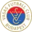 Vasas FC
