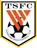 Logo of ShanDong TaiShan FC U15