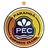 Logo of Paranoa Youth