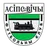 Logo of FK Osipovichi