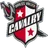 Logo of Brazos Valley Cavalry