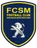 Logo of Sochaux U19