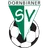 Logo of Dornbirner SV