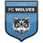 Logo of Jogeva Wolves