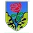 Logo of ASD Seravezza Calcio