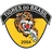 Logo of Tigres Brasil