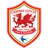 Logo of Cardiff City U23