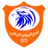 Logo of Al Mayadin