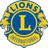Sandown Lions FC