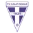 Logo of Calvi Noale