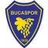 Logo of Bucaspor 1928