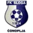 Logo of FK Vojvodina 1928 Perlez