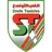 Stade tunisien
