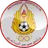 Logo of Al Mesaimeer SC