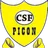 Logo of CSF Picon