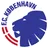 Logo of Kobenhavn Reserve
