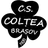 Logo of Coltea 1920 Brasov (w)